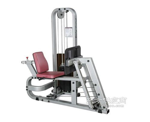 康輝健身器材 威海專業(yè)動(dòng)感單車生產(chǎn)廠家圖鑒與選購指南